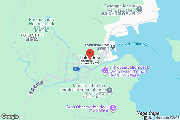 ココス 岩倉川井町店