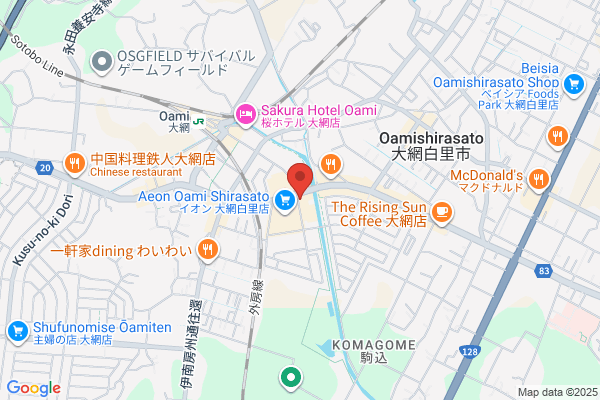 ココカラファイン セガミ薬局大網店