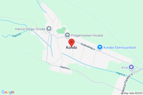 鍼灸院・整体院kondoh