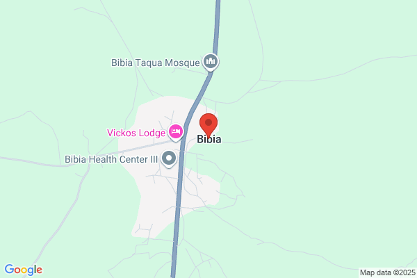 Bibie