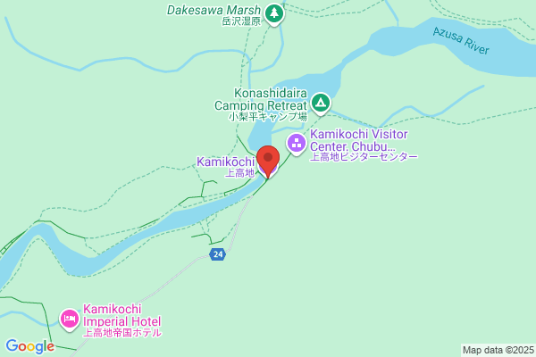 ドミノ・ピザ鳳高石店