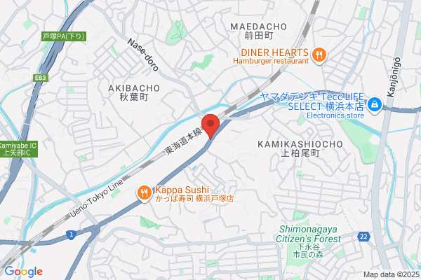 ドミノ・ピザ美立橋店