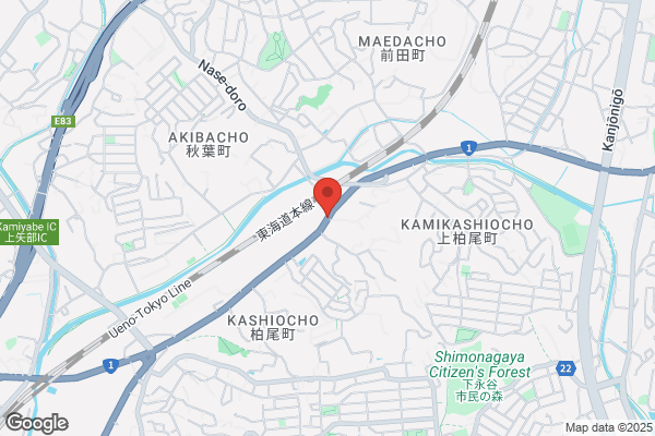 ノジマ 戸塚モディ店