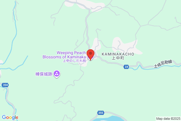 ジョーシン大和高田店