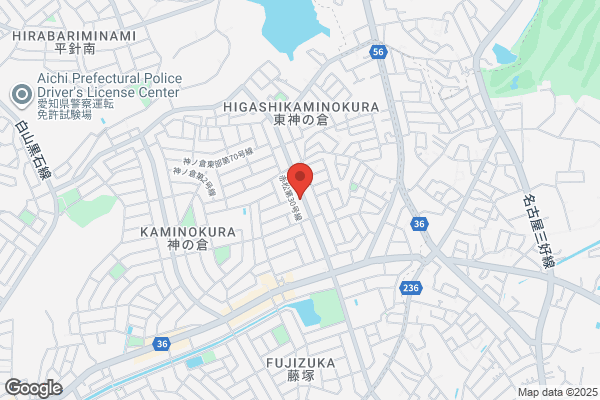 藤田医科大学病院国際医療センター