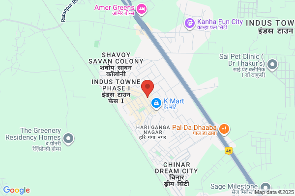 ラー麺ずんどう屋 八尾志紀