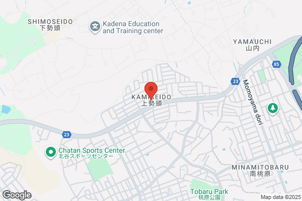 ブルーシール 沖縄ライカム店