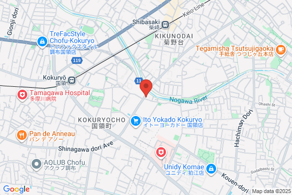 ドミノ・ピザ国領町店