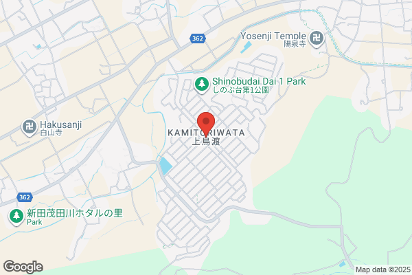 岩瀬書店八木田店プラスゲオ