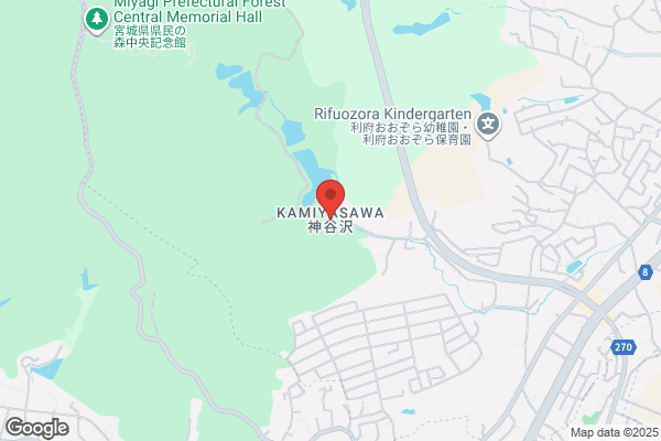 ツルハドラッグ 田子西店