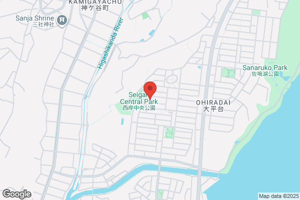 くすりのレデイ フジ志度店