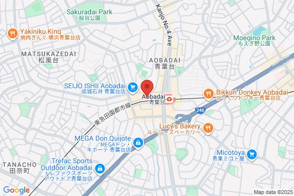 ドミノ・ピザ青葉台店