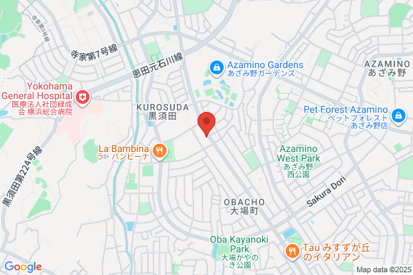 ドミノ・ピザ黒須田店