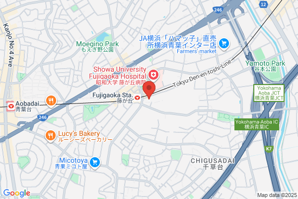 ウエルシア藤が丘店 (調剤薬局)