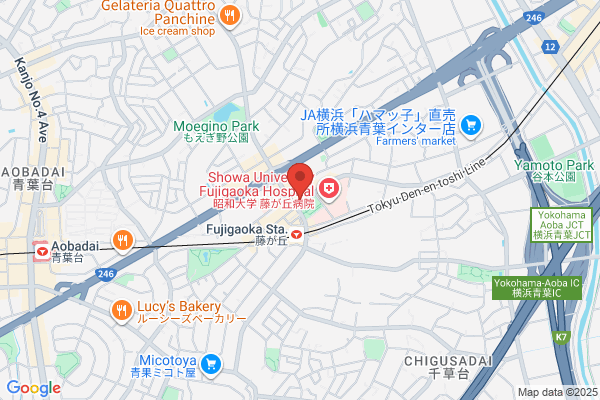 ハックドラッグ藤が丘駅前薬局 (調剤薬局)