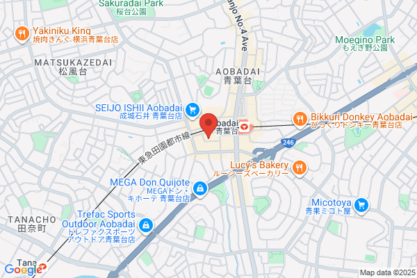 弦楽器サラサーテ