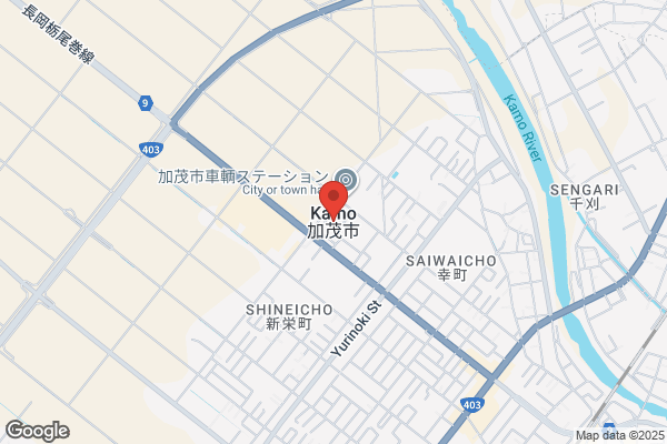 ツルハドラッグ 加茂柳町店