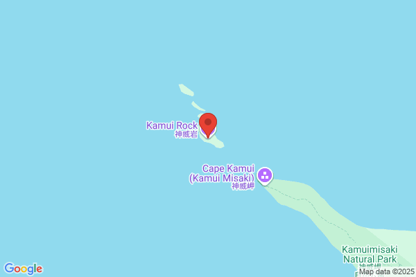 ココカラファイン薬局 マルカツ店