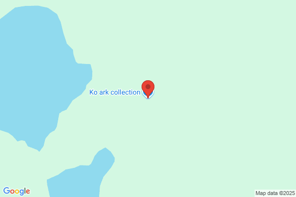 ディスカウントドラッグコスモス 北方店
