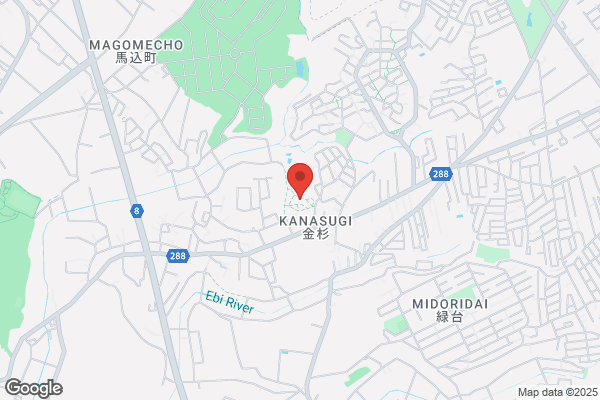 ドミノ・ピザ二和三咲店