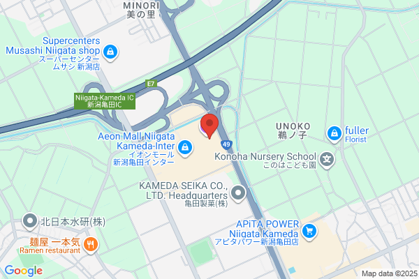 ノジマ イオン新潟南店