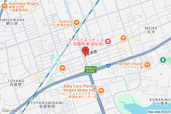 すき家 新潟女池店