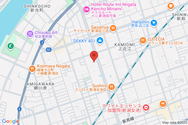 ゲオ出来島店