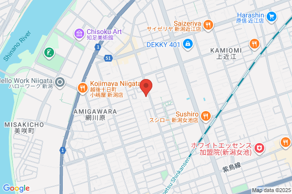 ウエルシア新潟南出来島店