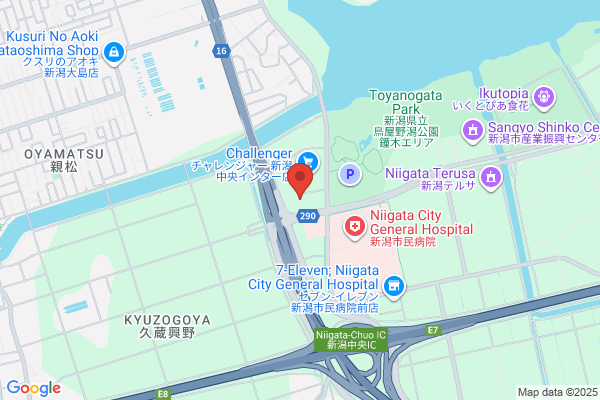 蔦屋書店 新潟中央インター店