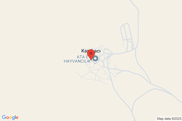 炭火焼肉ノぶる 大宮店