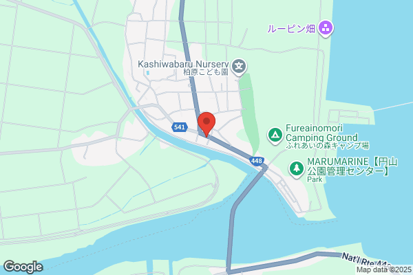 ENEOS Dr.Driveセルフ狭山根岸店(ENEOSフロンティア)