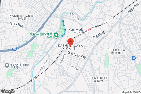 吉野家 ２４６号線座間店