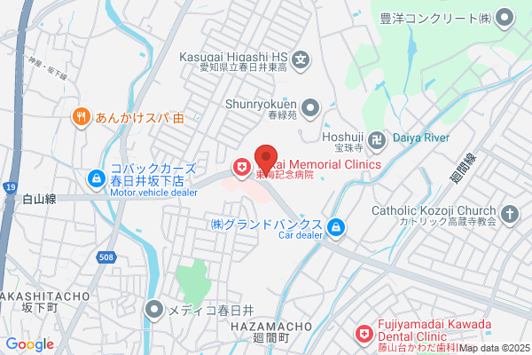 Chubu Yakuhin Co., Ltd. Kozoji-ten