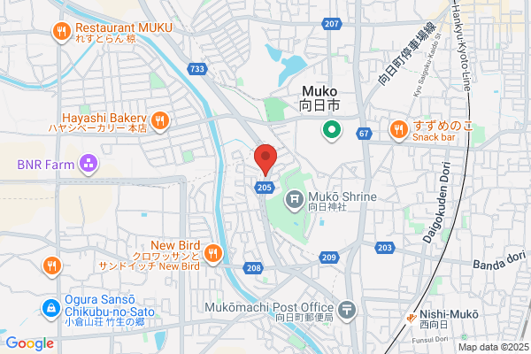 ゲオ向日店
