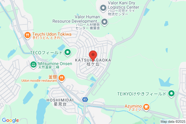 ドミノ・ピザ掛川中央店