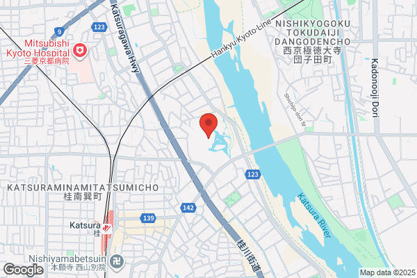 ゲオ桂店