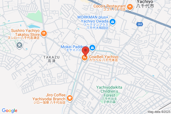 ゲオ八千代高津店