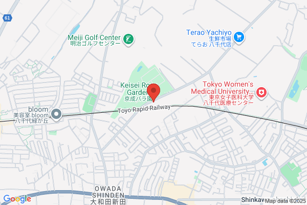 八千代甲羅本店