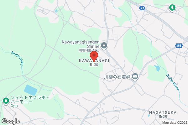 ノジマ レイクタウン店