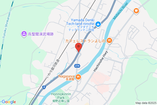 ゲオ二戸堀野店