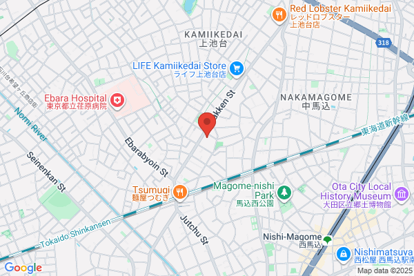 ノジマ 上池台東急ストア店
