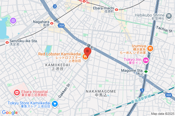 ウエルシア大田上池台店 (調剤薬局)