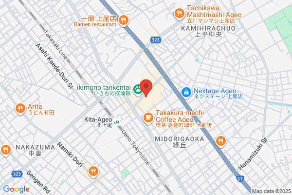 ノジマ 上尾PAPA店 - 閉店