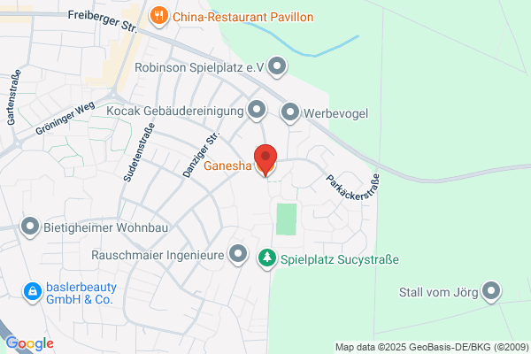 ラージガネーシャ Raj Ganesha Indian Restaurant
