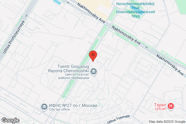 ドミノ・ピザ西大路花屋町店