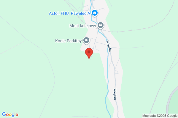 ゲオ出来島店
