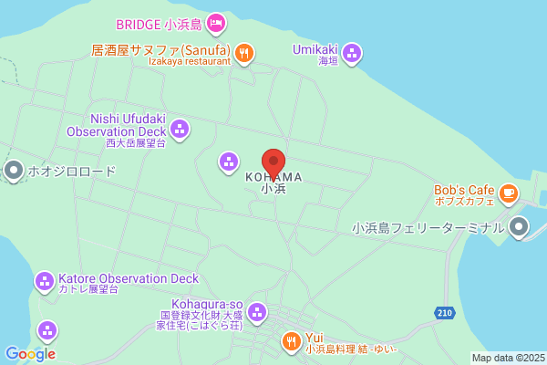 ビッグボーイ 岸の里店