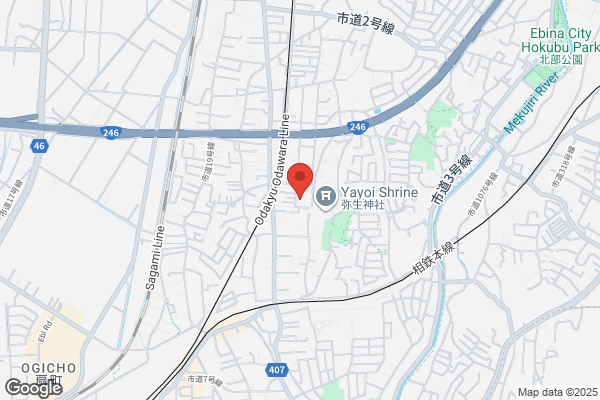 ハックドラッグさがみ野店 (調剤薬局)