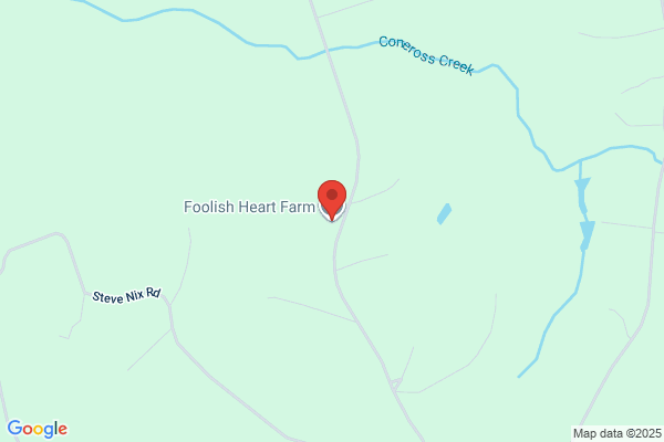 foolish heart