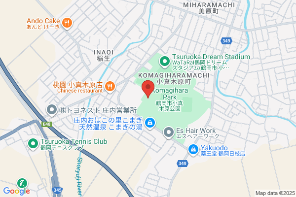ゲオ鶴岡宝田店